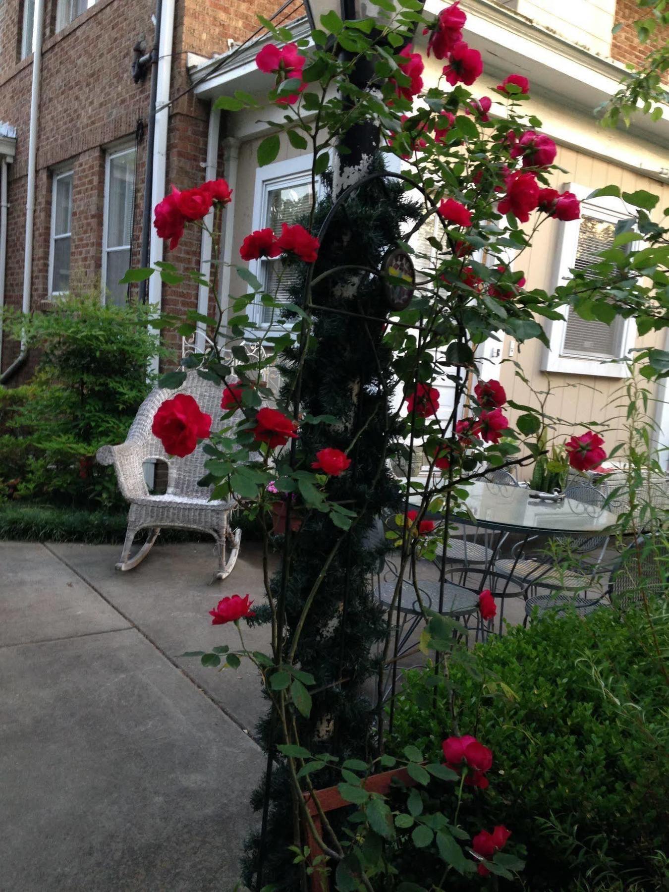 Port City Guest House Wilmington Dış mekan fotoğraf